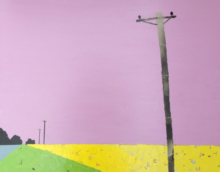 Rape fields near Goulburn