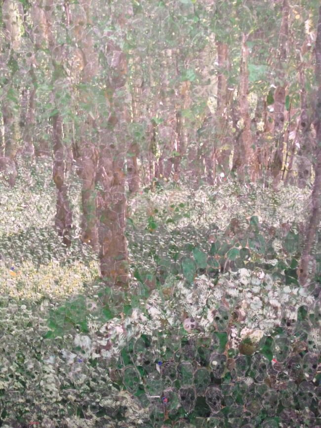 Landscape of Silence, Azade Köker, 2010