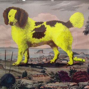 Who is gonna clean up this mess, 2015; Joan Ross, hand painted pigment on cotton rag paper