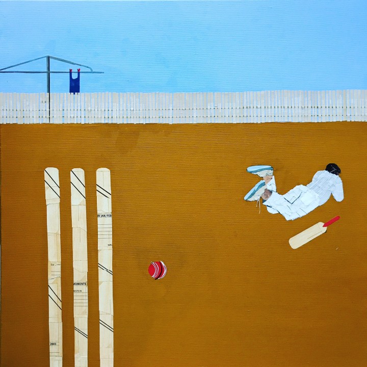 Collage by Ray Monde cricket in backyard