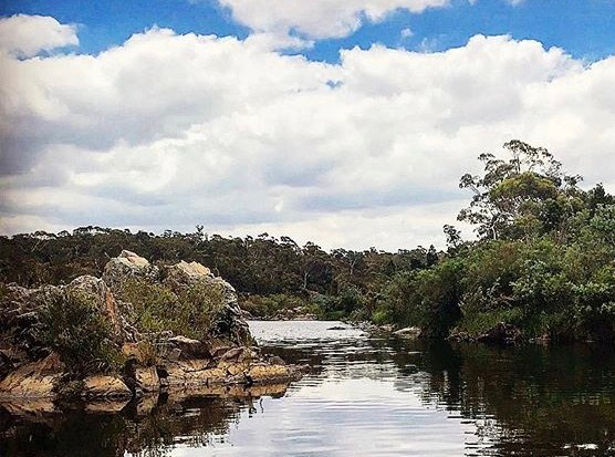 Large rocky outcrop in Shoalhaven River at Bombay