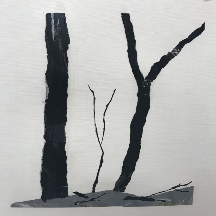 Collage by Ray Monde of burnt forest