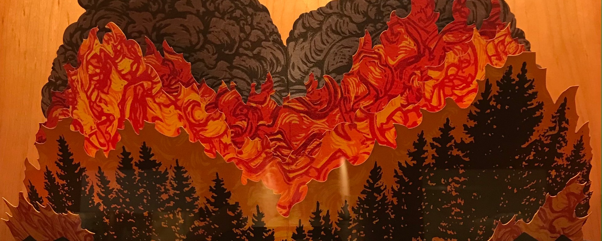 Pop up book of forest fires and burning fires